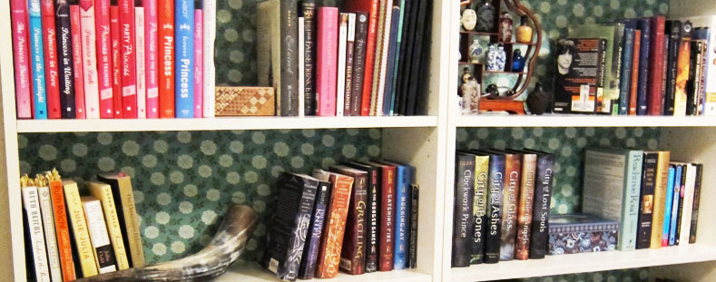 organise bookshelf with backing